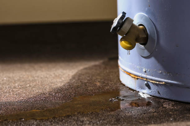Best Water damage restoration near me  in Wickenburg, AZ