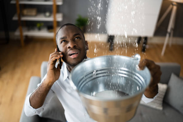 Best Mold removal after water damage  in Wickenburg, AZ