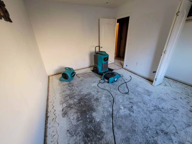 Best Flooded house restoration  in Wickenburg, AZ