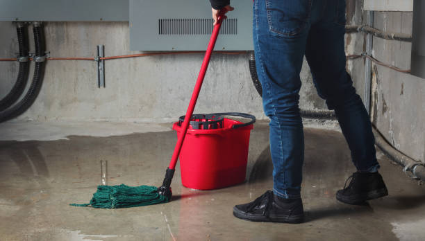 Best Ceiling water damage repair  in Wickenburg, AZ