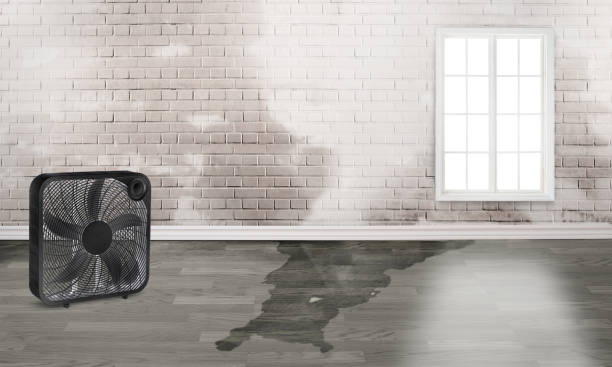 Best Sewage cleanup and water damage restoration  in Wickenburg, AZ