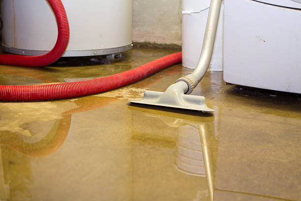 Best Water damage cleanup near me  in Wickenburg, AZ