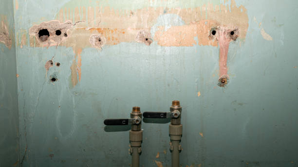 Best Professional water damage repair  in Wickenburg, AZ