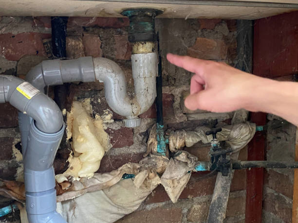 Best Flood restoration services  in Wickenburg, AZ