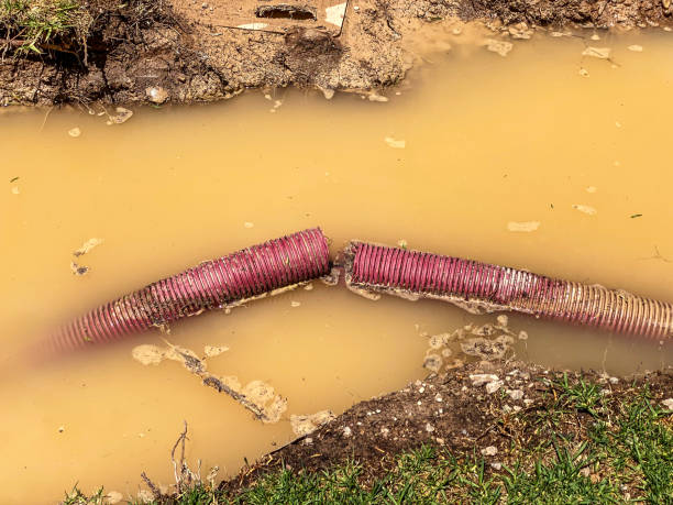 Best Water damage restoration process  in Wickenburg, AZ
