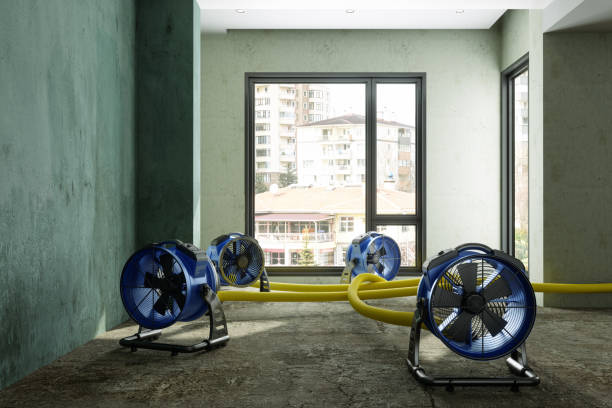 Best Water damage repair service  in Wickenburg, AZ