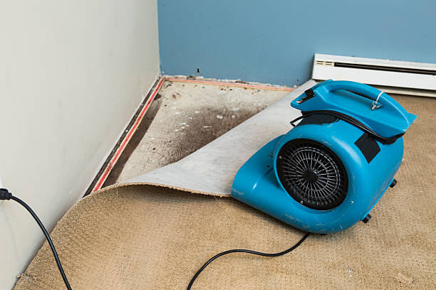 Best 24/7 water damage repair  in Wickenburg, AZ